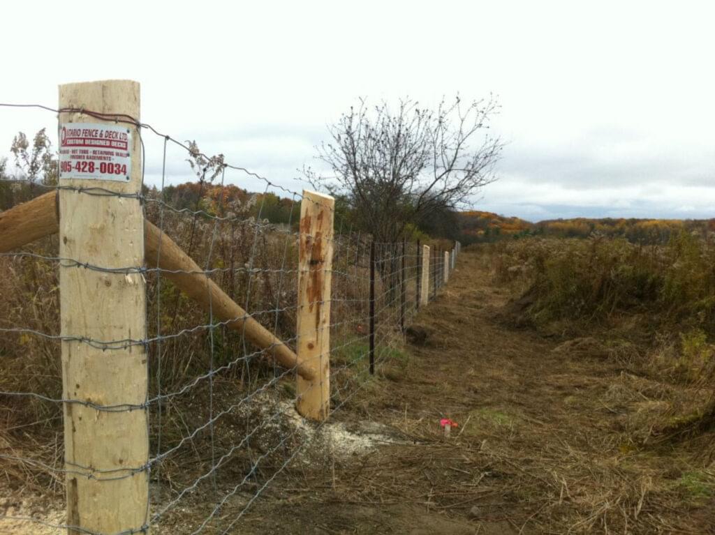 fences-6