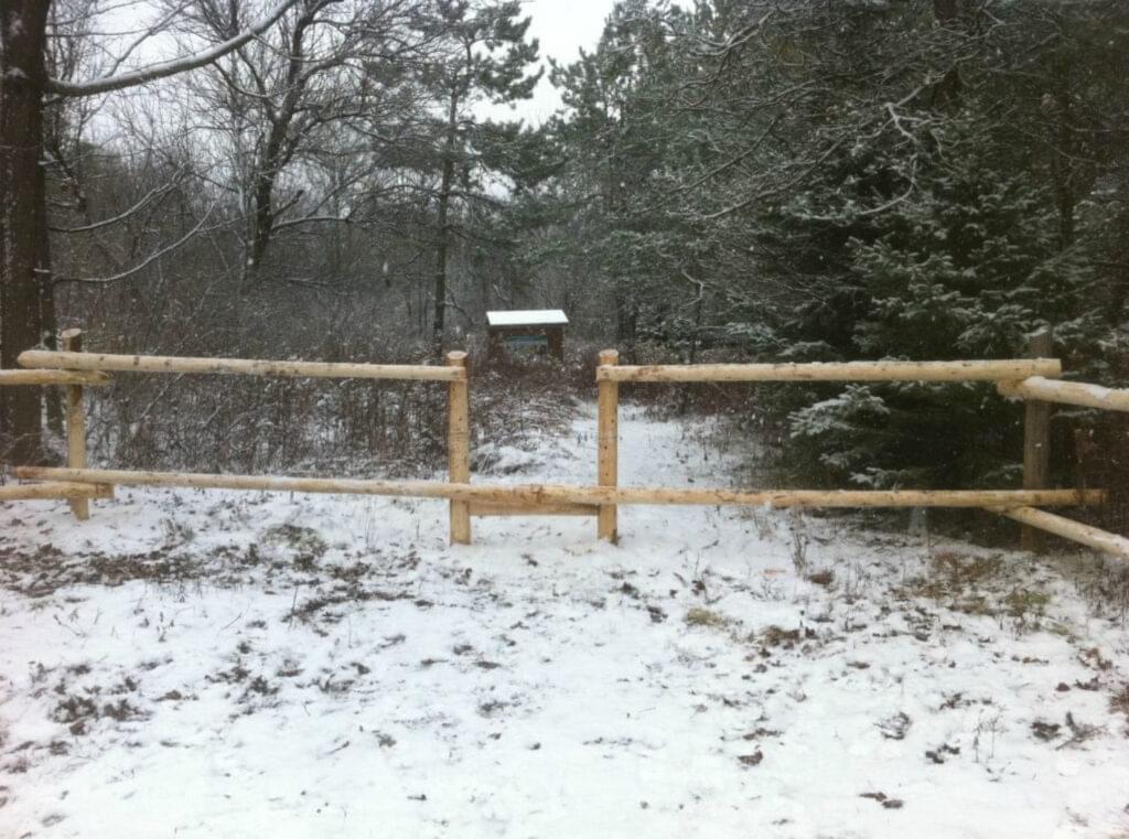 fences-7