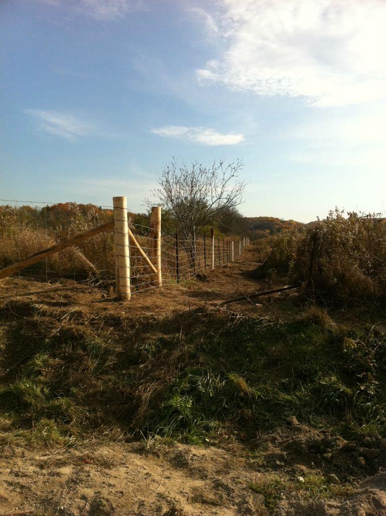 Fences-29