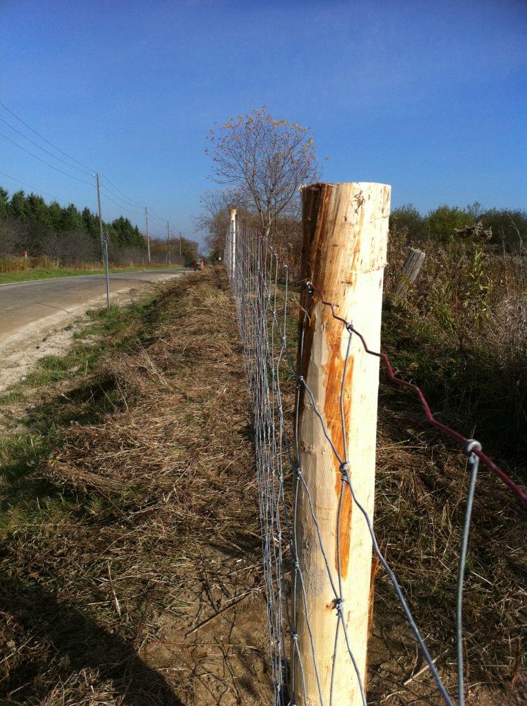 Fences-31