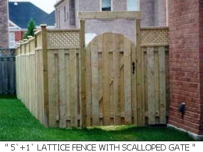 Fences-52