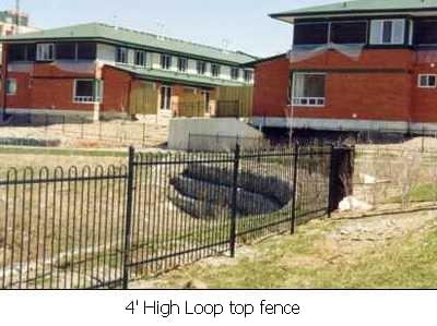 Fences-54